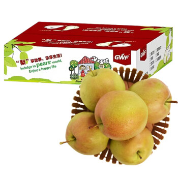 山西玉露香梨香雪梨净重约5斤7-10粒单果220g以上水果