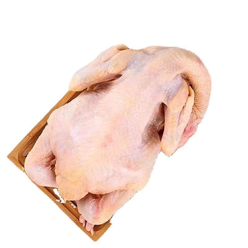 三黄鸡农家散养散养走地童子鸡