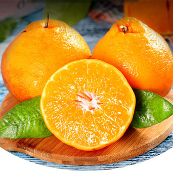 四川春见粑粑柑耙耙柑橘子桔子2.5kg礼盒装单果120g新鲜水果	