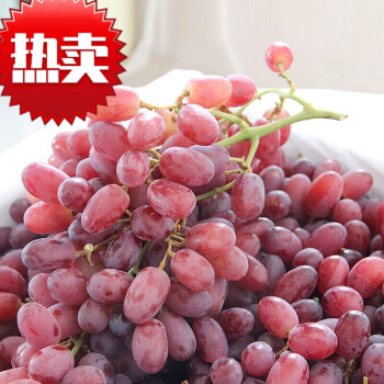 无籽红提子克伦生新鲜脆甜无籽葡萄当季孕妇水果整箱克伦生无籽葡萄_1斤新鲜生鲜水果	